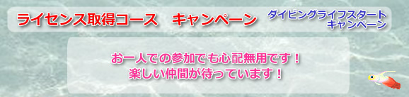 CZX擾R[XLy[